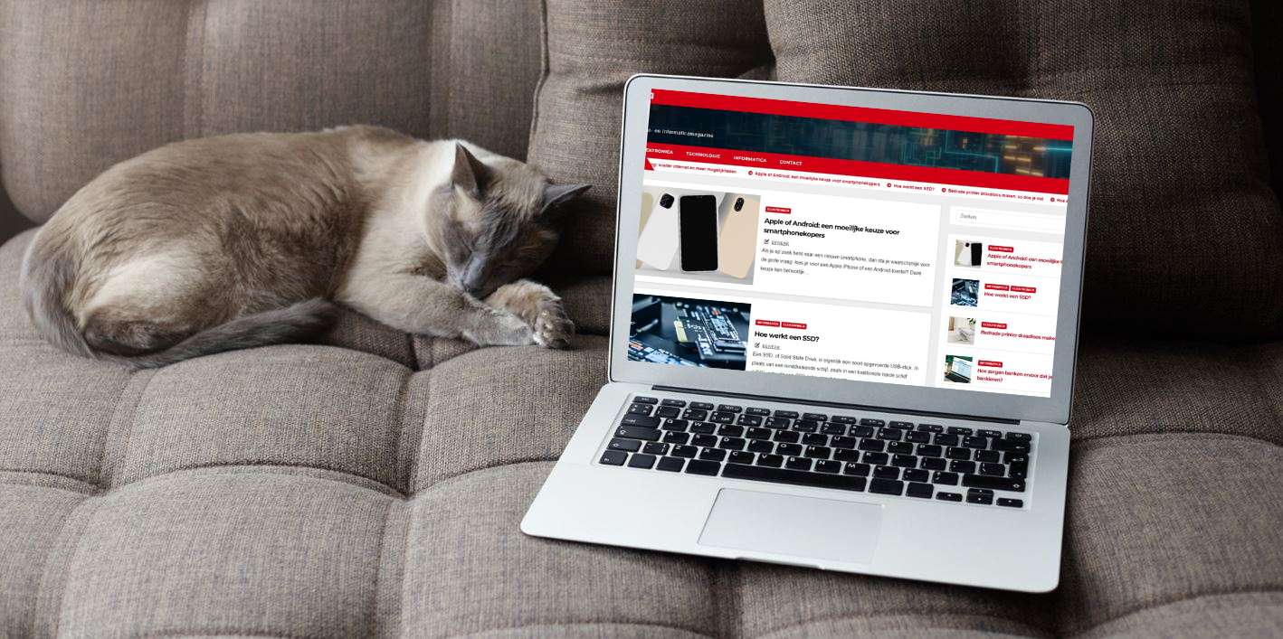 Waarom kattenhaar een gevaar kan zijn voor jouw computer